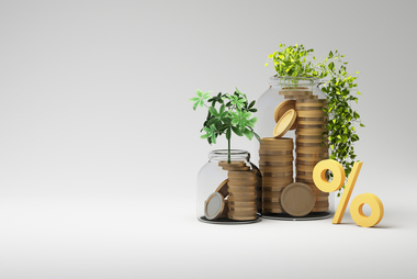 Two money trees growing from jars filled with coins and a golden percent sign, illustrating interest, profit, and investment growth.