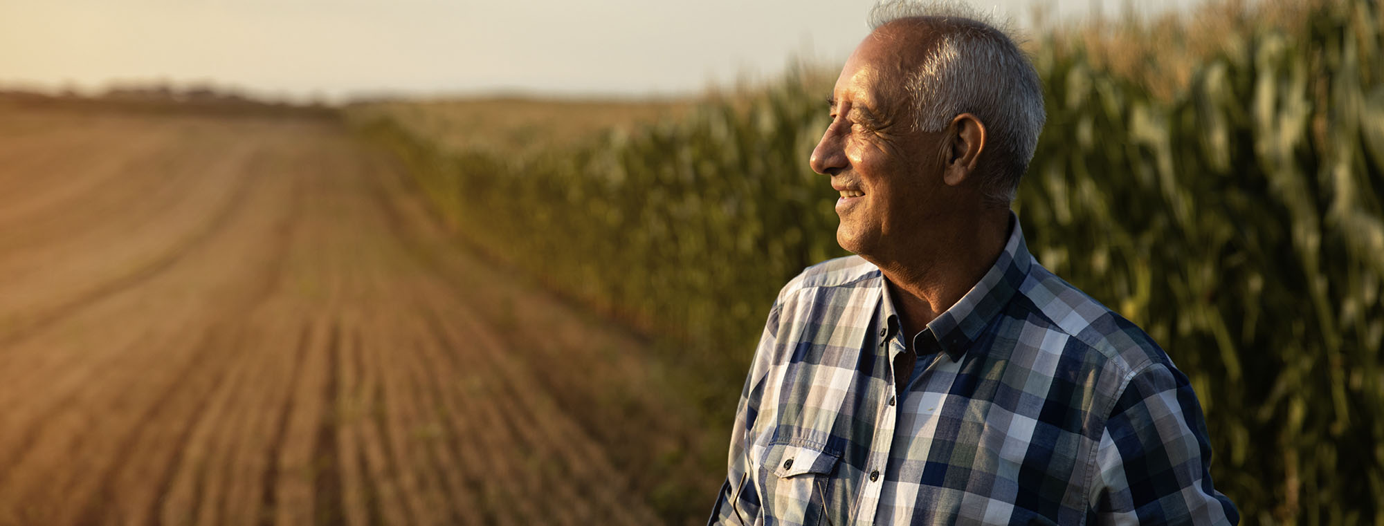 Farmer looking out into the distance on his farm land